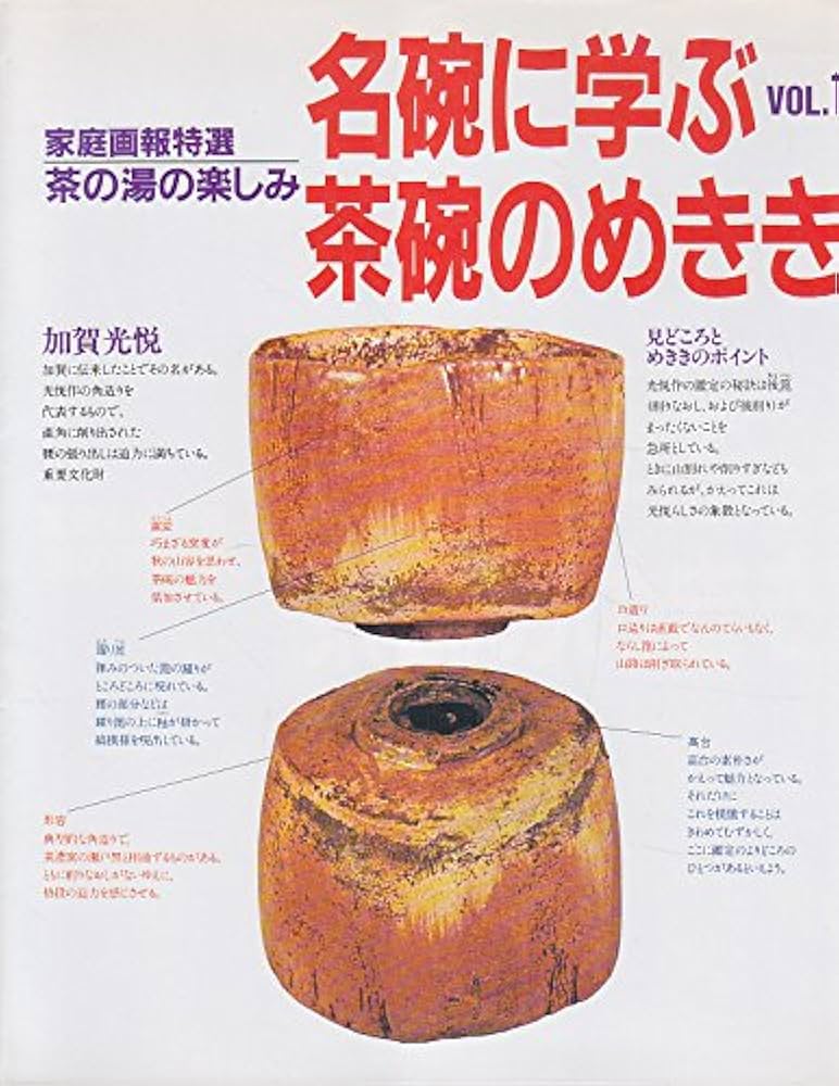 Amazon.co.jp: 家庭画報特選茶の湯の楽しみ 名碗に学ぶ茶碗のめ