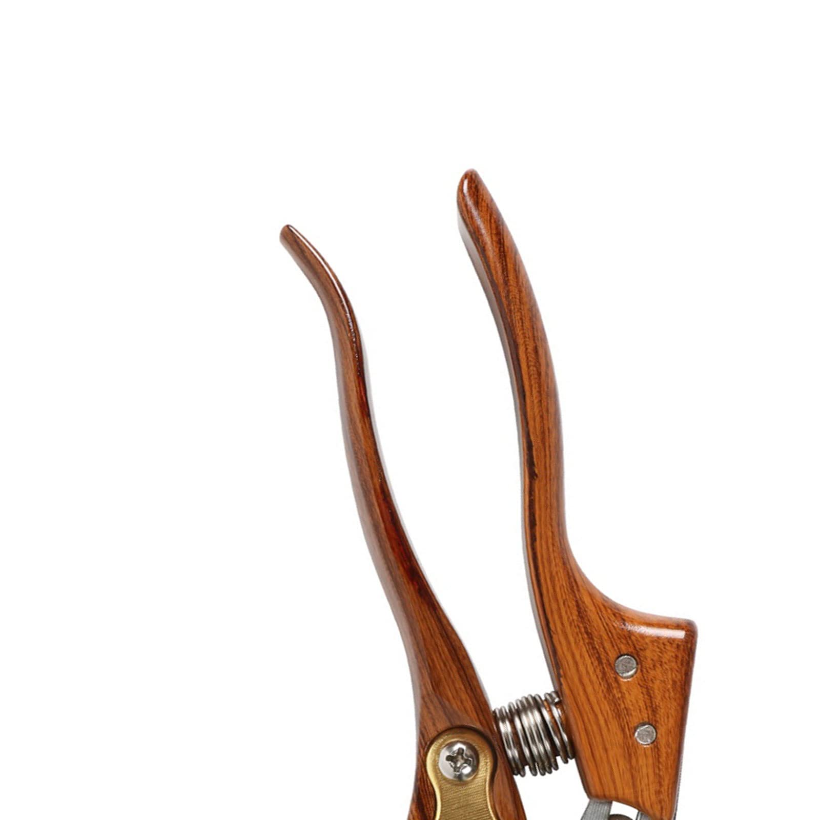 Ciseaux à Bec de Jardin, Taille-Horticulture, cisailles à Main pour vergers, Coupe-Bordures pour bonsaï, Ciseaux à Branches d'arbre, 1 pièce