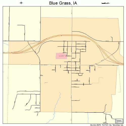 Large Street & Road Map of Blue Grass, Iowa IA Printed poster size
