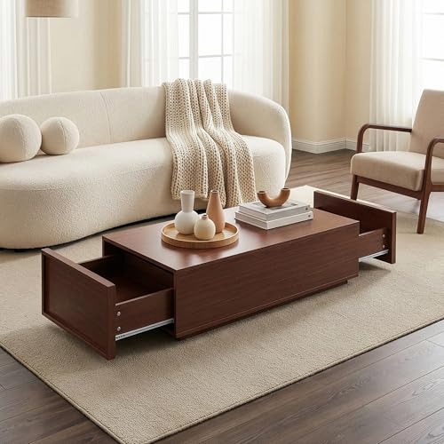 [en.casa] Table Basse Style Intemporel avec Plateau Rectangulaire et 2 Tiroirs Rangement Pratique...