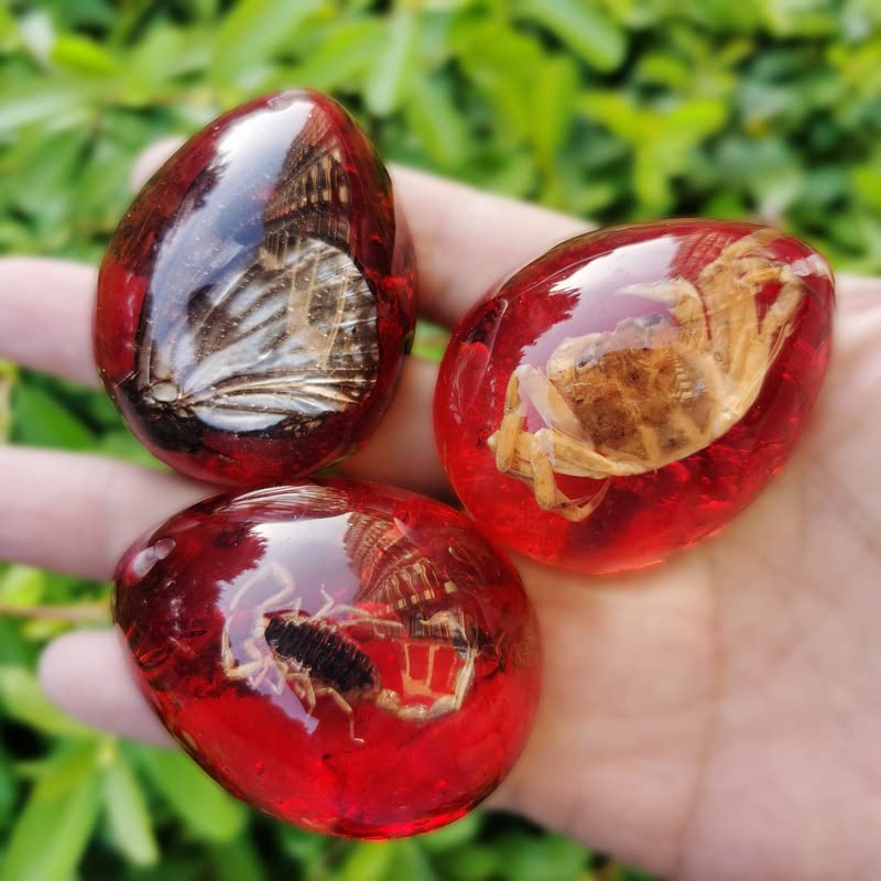 Image of Colourful Amber Fossil Insect Artificial Amber Insect Specimen Pendant Amber Stone Ornament for Collection,Science Education (12 PCS)