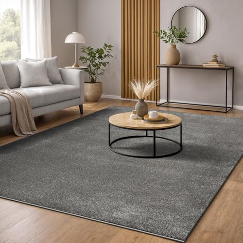 the carpet Marley eleganter Designer Teppich Wohnzimmer, weicher & pflegeleichter Kurzflor Wohnzimmerteppich in Anthrazit, Teppich 160 x 230 cm