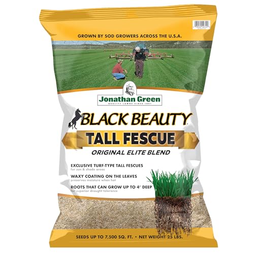 Jonathan Green (10315) Black Beauty Original Grass Seed Blend - Cool Season Lawn Seed (25 lb)