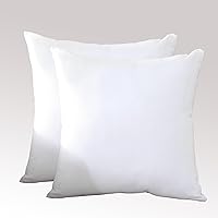TAOSON Set of 2 100% Cotton Throw Pillow Covers 20x20 Inch - Soft Decorative Sofa Cushion Cases with Hidden Zipper, White