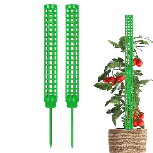 Supporto per piante rampicanti – Pali di muschio splicable traspiranti | Bastone di supporto per la crescita delle piante | Attrezzi da giardinaggio portatili | Pali di muschio pieghevoli per esterni