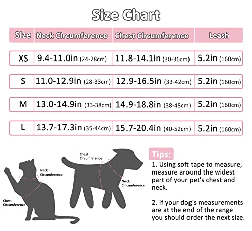 Dog Harness and Leash Set, No Pull Harness for Small Dogs and Cats, Air Mesh Harness with Easy Control Handle and… - Image 4