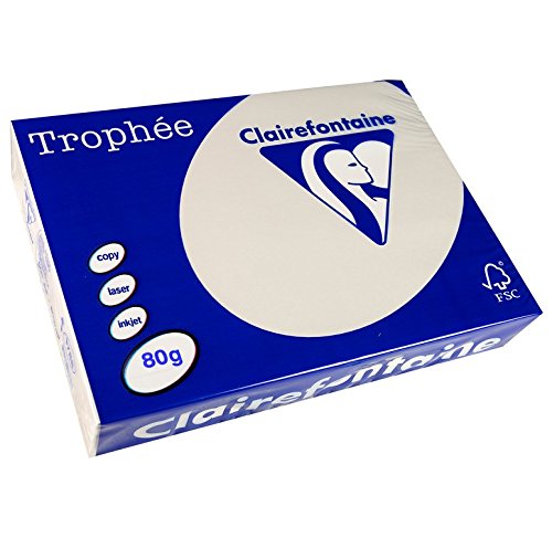 Clairefontaine 1788C - Ries mit 500 Blatt Druckerpapier / Kopierpapier Trophée, DIN A4 (21x29,7 cm), 80g, Perlgrau Pastellfarbe, 1 Ries