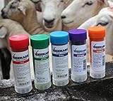 CEEMARK Livestock Marker Crayon by Rurtec, New Zealand (10 Pack; 2 x Orange, Green, Red, Blue & now...
