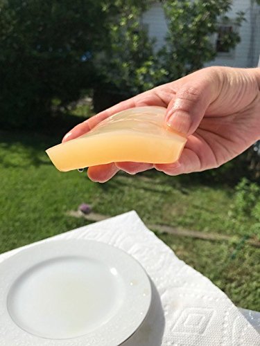 Miniatura 2 de IBIV Kombucha Scoby Live Strong Starter Tea Culture for Healthy Raw Premium Fermented Tea (más de 1 taza de té de inicio hace 1 galón)