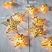 Domire Battery Operated Warm White LED Fairy Lights 10 (Gold) Metal Star String Decoration Light for Festival Halloween Christmas Party Wedding