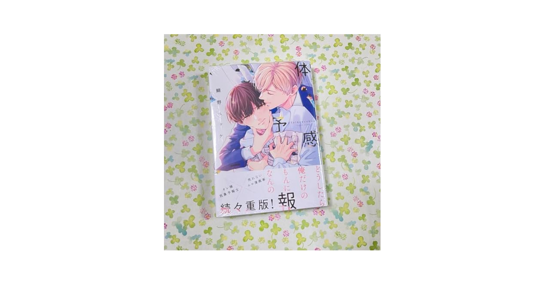 オードトワレ 鯛野ニッケ 体感予報 アニメイト 香水 瀬ヶ崎瑞貴 棚田葉 漫画『体感予報』オードトワレが12/22〜アニメイトにて予約開始