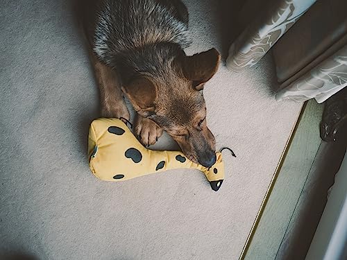 BecoThings Beco Pet BPT-004 Hundespielzeug - George The Giraffe, M