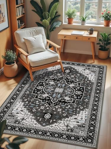 Macgace 4x6 Black Grey Area Rug for Living Room, Machine