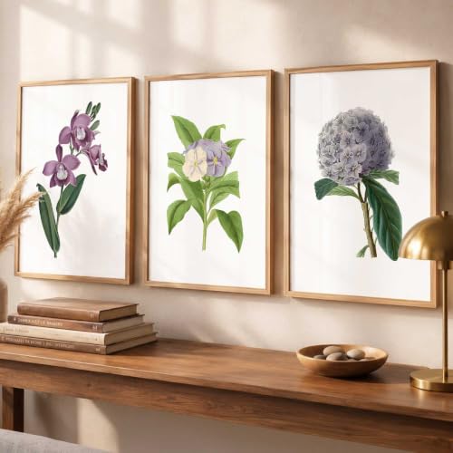 Image of kotart Floral Wall Art Home Decoration | Aesthetic Paintings With Frame For Living Room Bed Room Hotel Wall Decor Digital Reprint Set of 3 (19X25 inch)