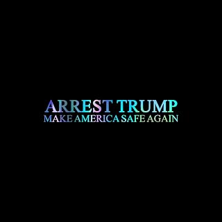 Arrest Trump Make America Safe Decal Vinyl Sticker Auto Car Truck Wall Laptop | Holographic | 8" x 1.5"