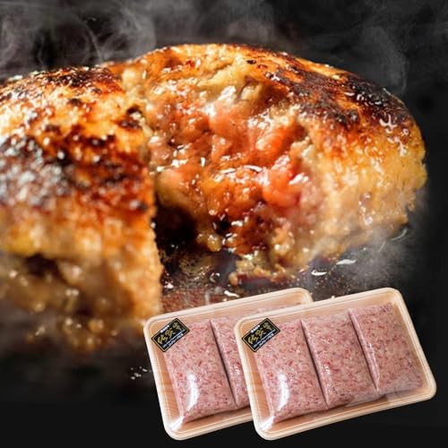 佐賀牛使用 極みハンバーグ 150g×8個 冷凍 個包装 老舗精肉店 織田精肉店 ジューシー 肉惣菜 b-471