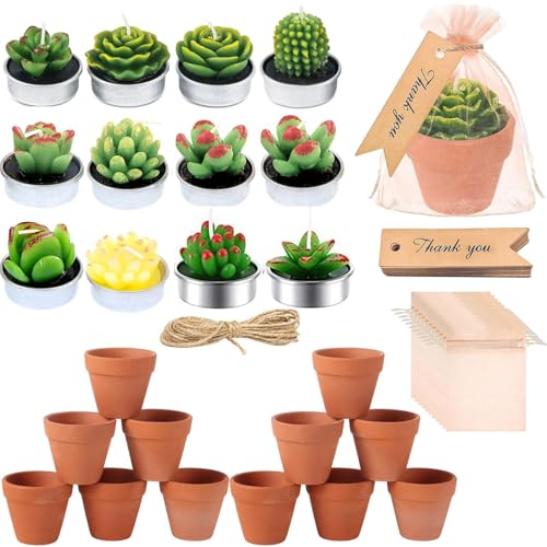 12 Sets Succulent Candle Presents with Terracotta Pots, Mini Cactus Tealight Candle with Organza Bag, Thank You Tag, Twine, for Shower, Wedding, Birthday, Fiesta, Plant Party Decor