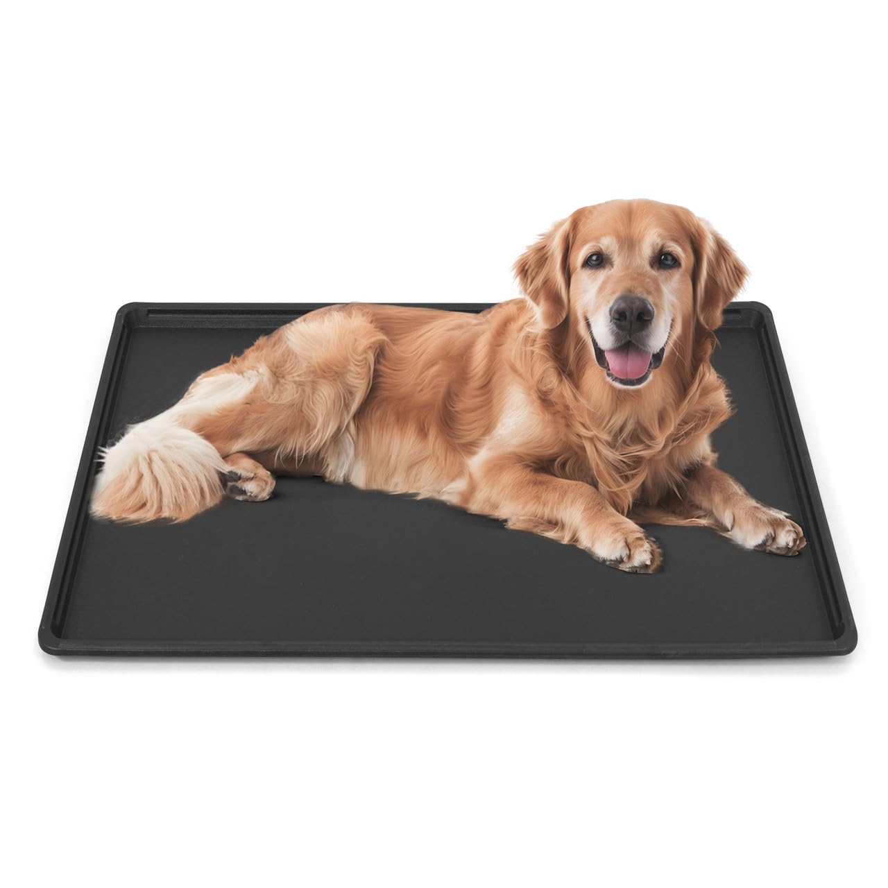 BOWHAUS 46.8-Inch Dog Crate Pan Replacement, Sturdy, Waterproof Plastic Tray for 48-Inch Pet, Rabbit Ferret Critter Kennels, Versatile Pan and Easy to