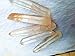 5pcs/lot Lemurian Seed Crystal ~ For Supreme Healing and Protection, Awakens and Stimulates all Chakras