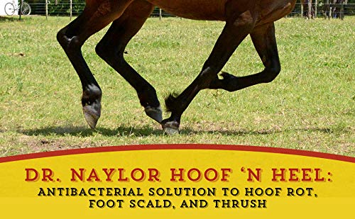 Dr. Naylor Hoof 'N Heal, Hoof Rot Foot Rot Wound Care, 16Oz, Sheep Goat Cow Horse, 1-Pack #TOP5