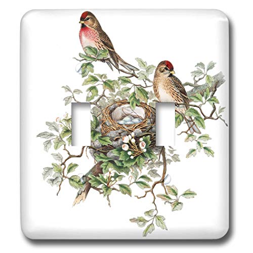 3dRose Be[WƑ - _ugOXCb` (LSP_307001_2) e