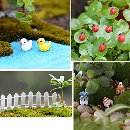 Vtete 50 Pcs Fairy Miniature Ornament Diy Kit And 4 Pcs Artificial Succulent Plants For Garden Dollhouse Decoration #TOP3