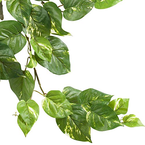 Nearly Natural 30IN Pothos Hanging Plants, Set of Three (3) Fake Bushes for Indoor Home Décor, Faux Vines for Wall or Hanging by Nearly Natural - Image 3