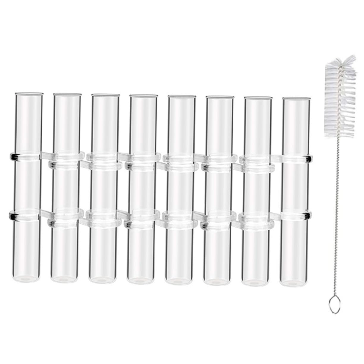 Vase Verre Transparent pour Propagation de Plantes Hydroponiques Grandes avec Crochet pour Décoration Intérieure Bureau et Jardin