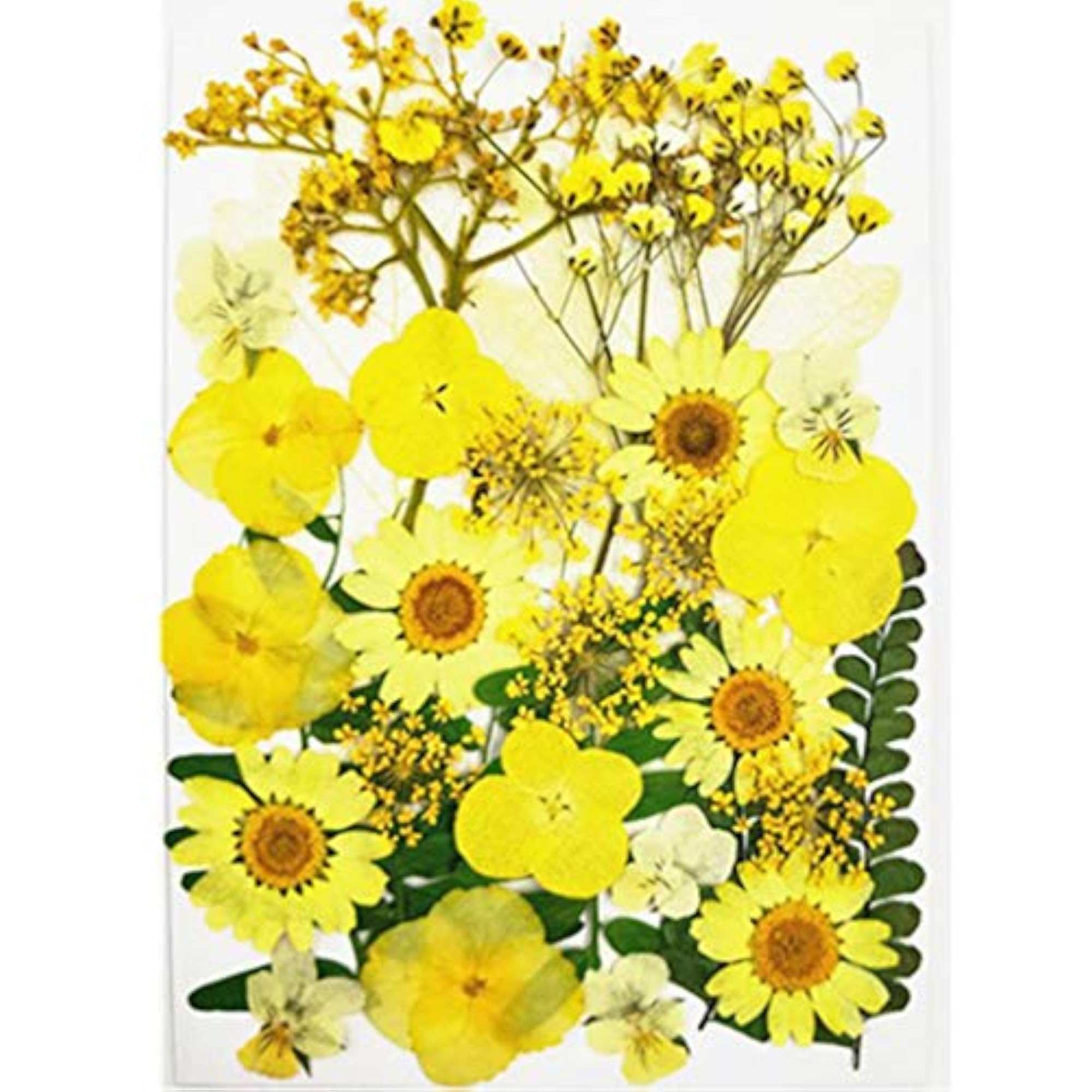 Dried Flower Handmade Pressed Flower Craft Kit