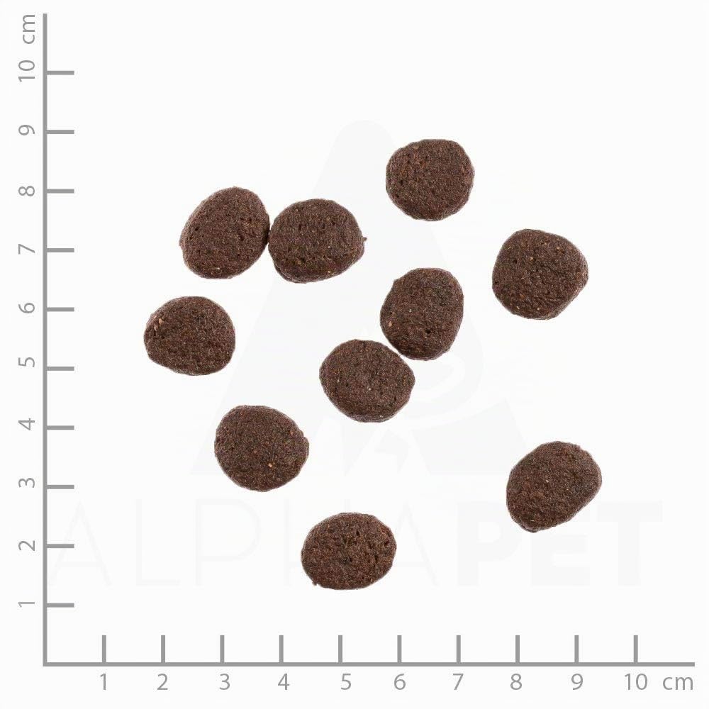 WILDES LAND – Lachs | Trockenfutter mit extra hohem Fleischanteil und natürlichen Zutaten für ausgewachsene Hunde. Alleinfutter ohne Zusatzstoffe im Beutel | 12kg Lachs