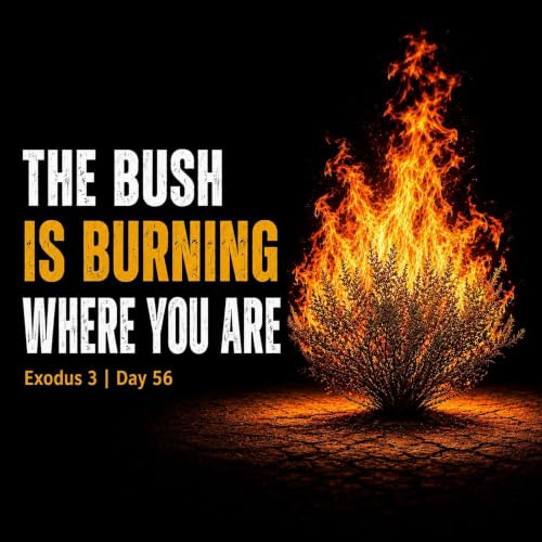 The Bush is Burning Where YOU are!