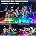 Dreamcolor Acrylic Interior Car LED Strip Light with USB/Type C/4-Port Cigarette Lighter, RGB 10 in 1 with 179.2 inches 650 LEDs Ambient Lighting Kits, Sound Active Function Neon Led Strips for Car