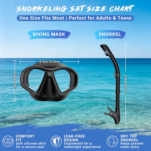 Set de Snorkel para Adultos, Mascara de Buceo con Tubo Seco, Gafas de Natación para Adultos miniatura 3
