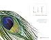 Lit: The Simple Protocol for Dental Photography in the Age of Social Media