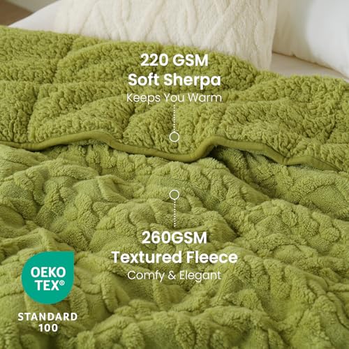 Image of Drewin Weighted Blanket Twin Size 15 lbs, Cozy Jacquard Sherpa Weighted Blankets for Adults for Winter, Comfortable Sofa Bed Blanket for Sleeping Natural and Calming, 48 x 72 inches, Grass Green