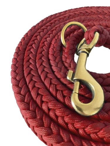 Leisegrün Paracord Hundeleine 2m | Handgefertigte Leine 3-Fach verstellbar | Handmade für kleine und mittelgroße Hunde (Ruby, 2 m) | Farbe: Rot