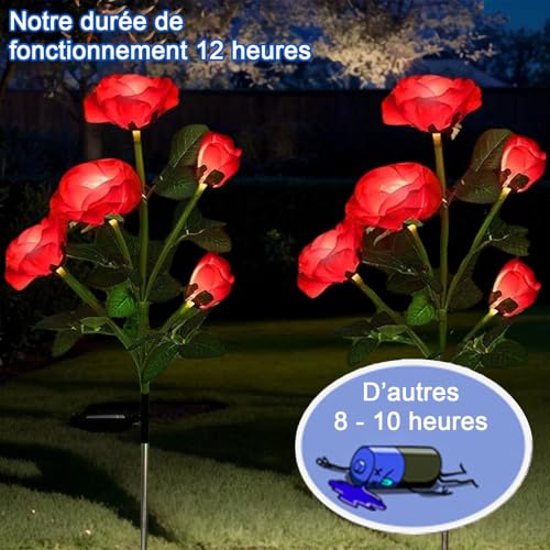Roses solaires résistantes aux intempéries pour baliser une terrasse