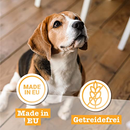 Chewies Lucky Bits Rind & Huhn Junior Hundeleckerli für Welpen - Hundeleckerlis getreidefrei & Soft mit viel Protein und Superfoods wie Bierhefe oder Ginkgo, ohne Zucker (80 g)