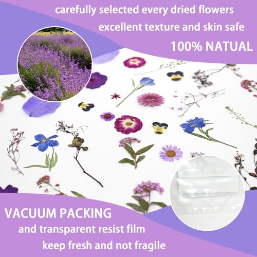 40 Pcs Purple Dried Pressed Flowers Real Natural for Scrapbooking Art Crafts DIY Gift Papermaking Resin Party Decorations Candle Soap Card Jewelry Making Supplies - Thumbnail 3