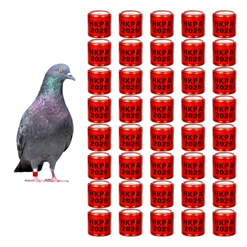 TOHONGADON 50 peças de anéis de perna de pombo de alumínio com 2025 HKPA Training Identify Birds Leg
