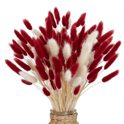 66 PCS Getrocknete Pampasgrasdekoration, Pampasgras-Bouquet, Natürlich Getrocknete Pampas, für Hochzeits Boho Tischdekoration rustikale Bauernhaus-Party Baby-Dusche-Dekorationen(Rot und Weiß)