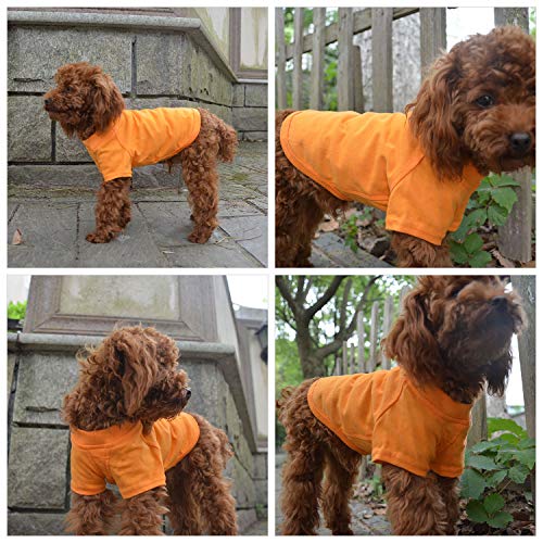 Lovelonglong 2019 Pet Clothing Dog Costumes Basic Blank T-Shirt Tee Shirts For Small Dogs Orange S #TOP5