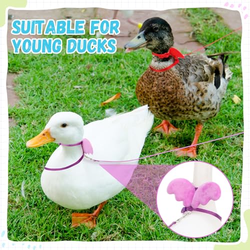 Image of SATINIOR 3 Pack Harness and Leash for Pet Ducks, Real Duck Collar and Leash Soft and Adjustable Harness Training Traction Rope Collar for Young Adult Pet Goose Chicken Hen(Blue Red Purple,S)