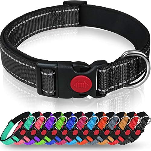 Taglory Reflective Nylon Dog Collar with Safety Buckle, Adjustable Pet Collars with Soft Neoprene Padding for Small Dogs, Orange