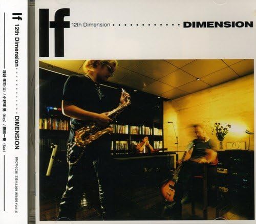 DIMENSION (16) - 12th Dimension If - Disque CD
