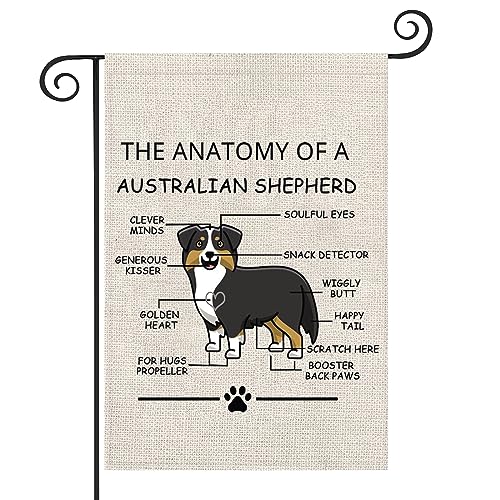 Drapeau australien Berger Australien pour décorer un mur blanc vide