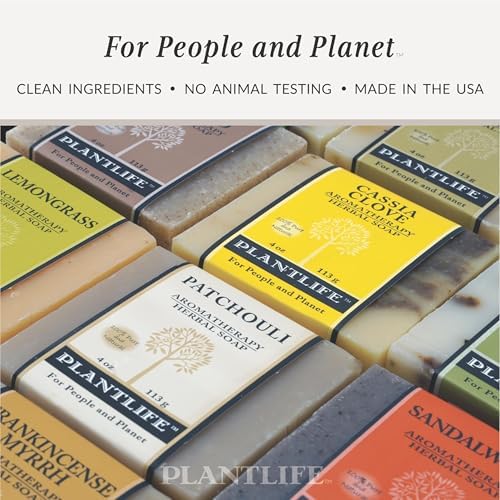 Plantlife Frankincense Myrrh Bar Soap 2-Pack, Handcrafted, Vegan, 4 oz — view 4