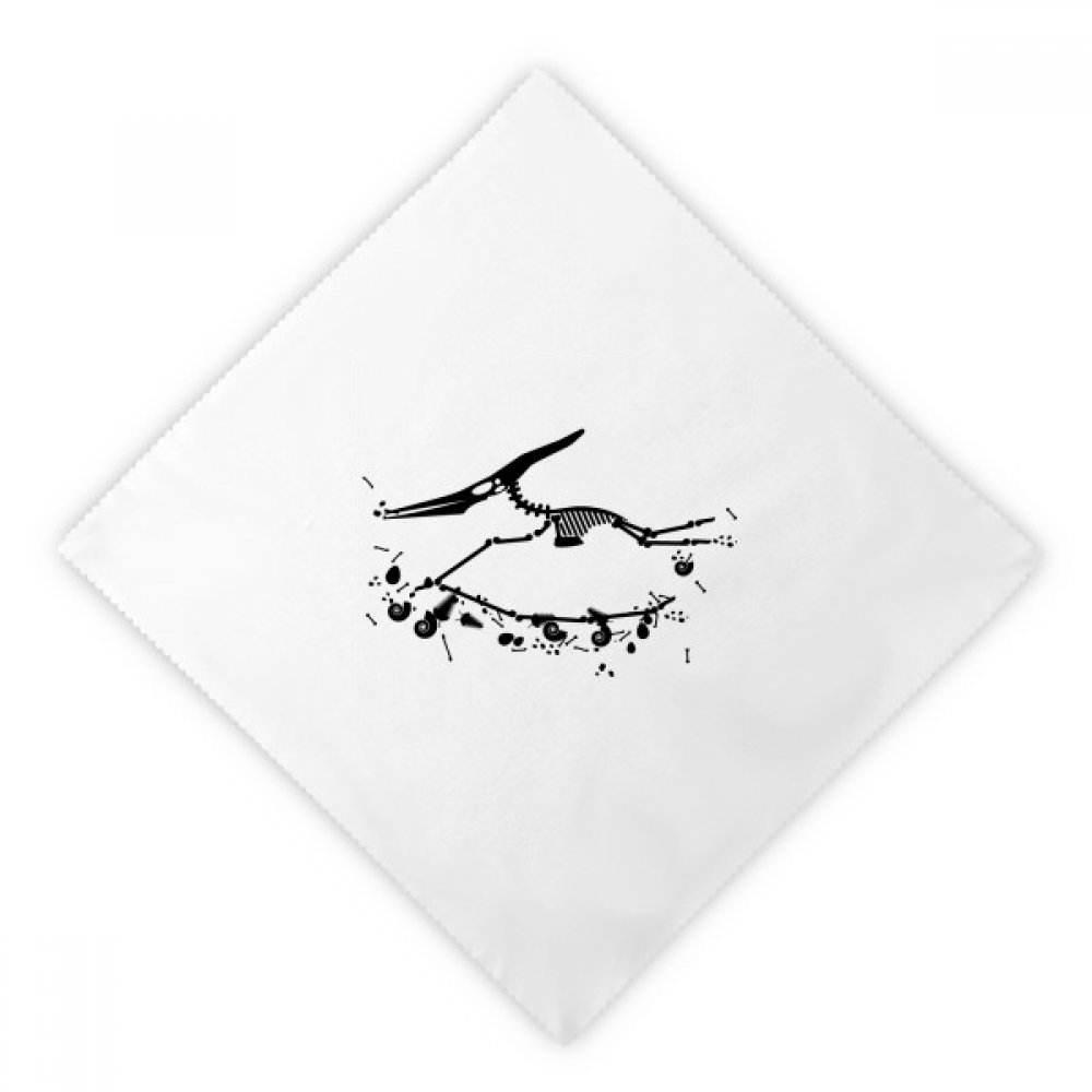 Serviettes en tissu réutilisable os de dinosaure blanc multicolore bébé