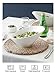 DOWAN 23 OZ Slanted Salad Bowls of 2 Packs - 9.5