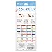 Prismacolor Col-Erase Erasable Colored Pencils, Adult Coloring, 24 Pack